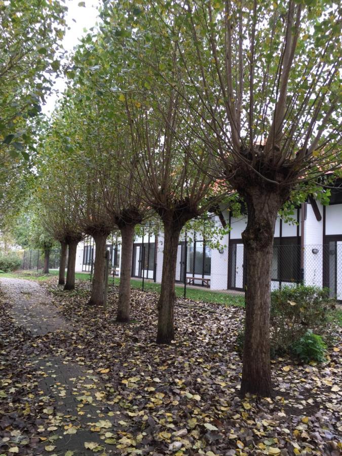 Vakantiewoning Kaviaar Ferienhaus